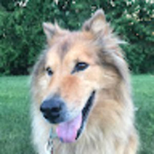 Meet your Posher, Sofia